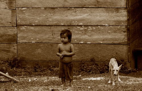 Los verdes luchando contra la pobreza