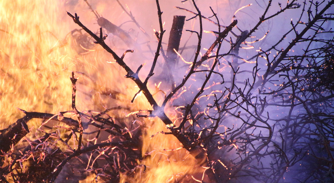 Amigos de la Tierra advierte de la próxima oleada de incendios en Galicia