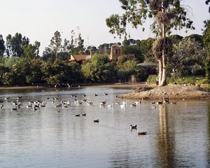 Andalucía. La Cañada de los Pájaros conmemora el 2 de febrero el XX aniversario de su primera suelta de aves