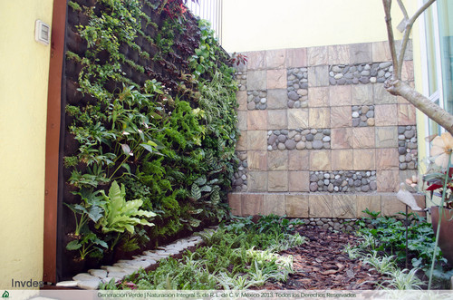 México. Jardines ‘verticales’