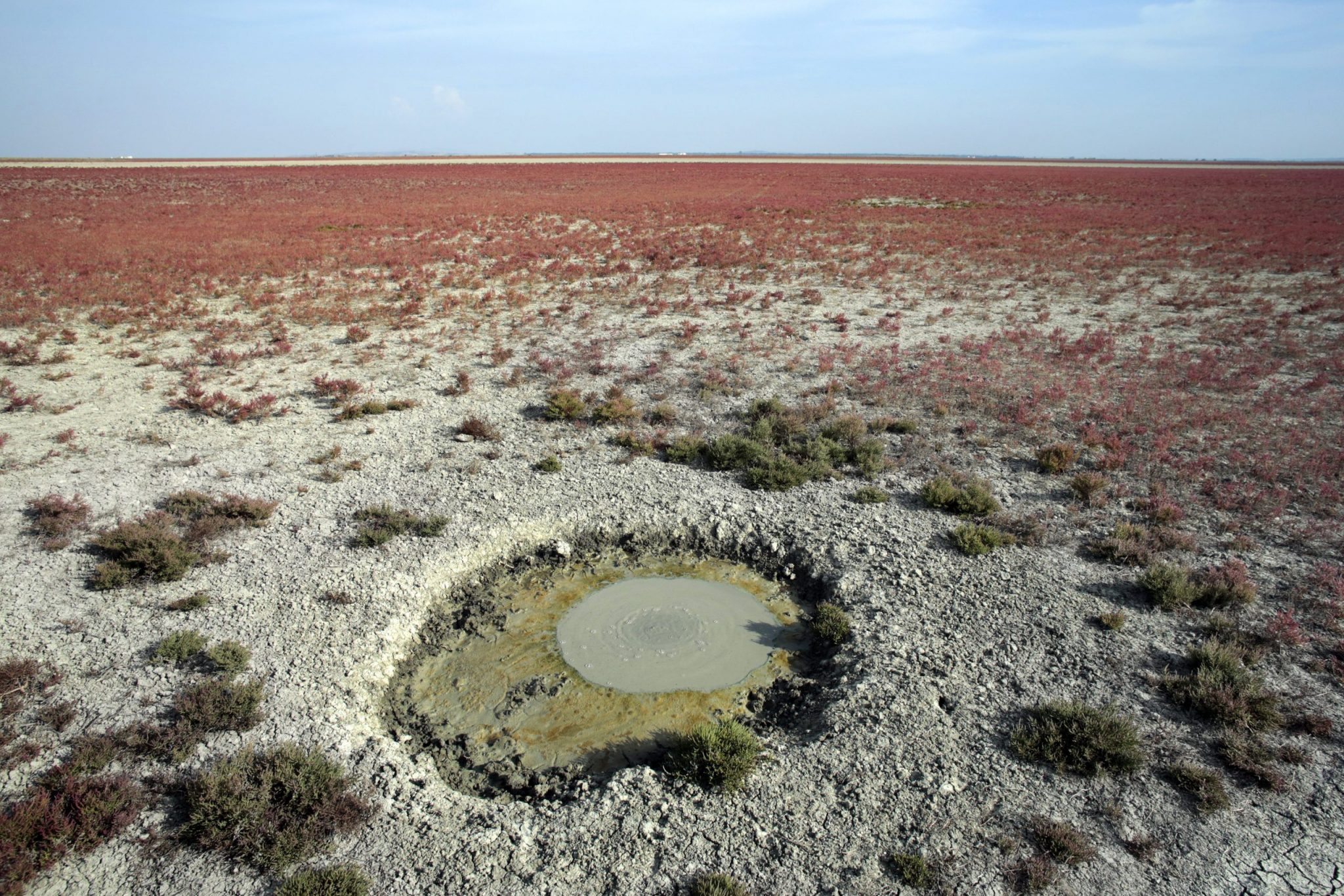 La ‘insostenible’ situación del agua en Doñana