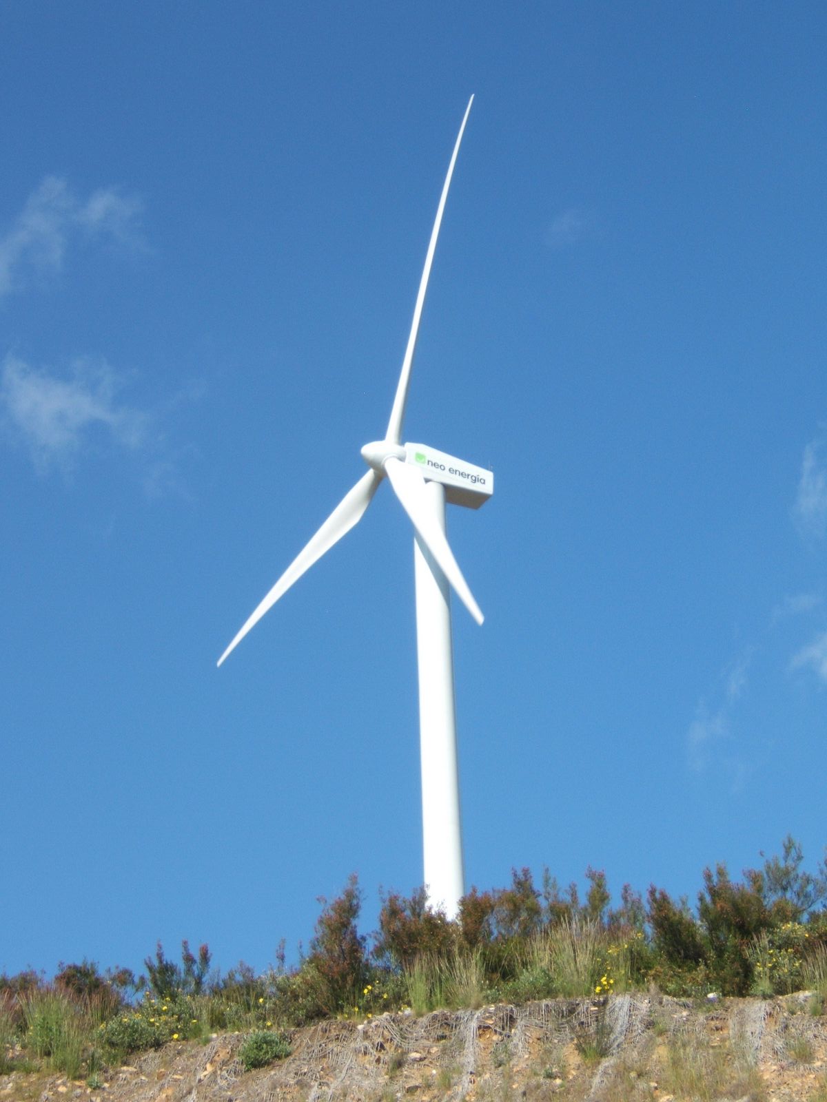 Presidirá Coldwell asamblea sobre energías renovables