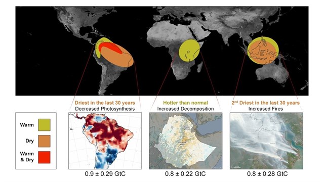 Efectos de El Niño explican el aumento récord de CO2 atmosférico