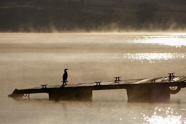II Edición del certamen fotográfico Mayores por el Medio Ambiente