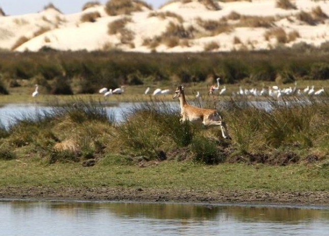 Doñana y Sierra Nevada reciben subvenciones para el desarrollo sostenible de sus entornos