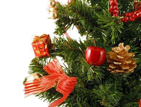 Los árboles naturales de Navidad capturan CO2 y no contaminan