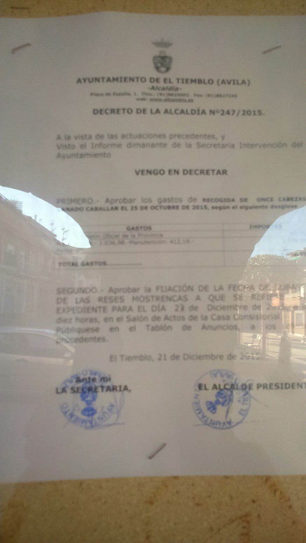 Cuenta atrás para salvar 11 caballos abandonados y  cederlos a una asociación de protección equina y no al matadero (ver VIDEO)