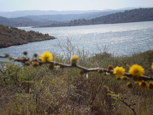 Castañeda acoge el martes las primeras jornadas de adopción de ríos y custodia fluvial de Cantabria