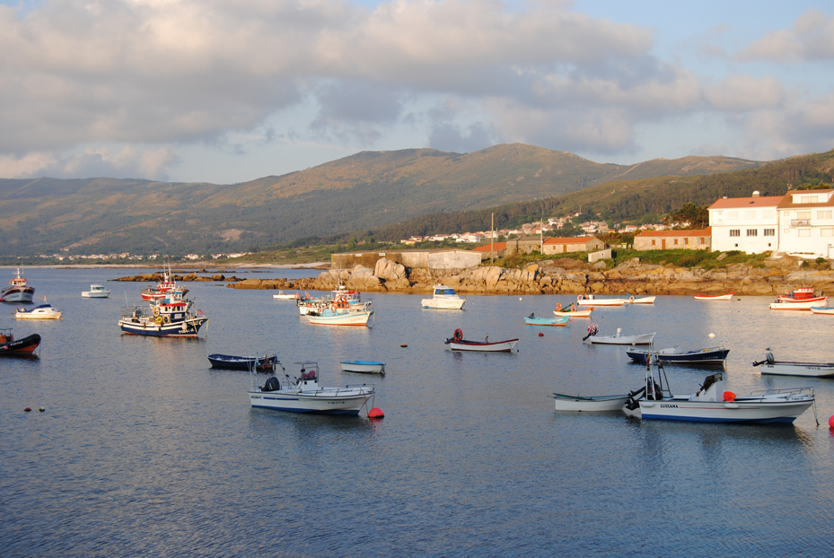 BIOCULTURA BILBAO y la pesca sostenible