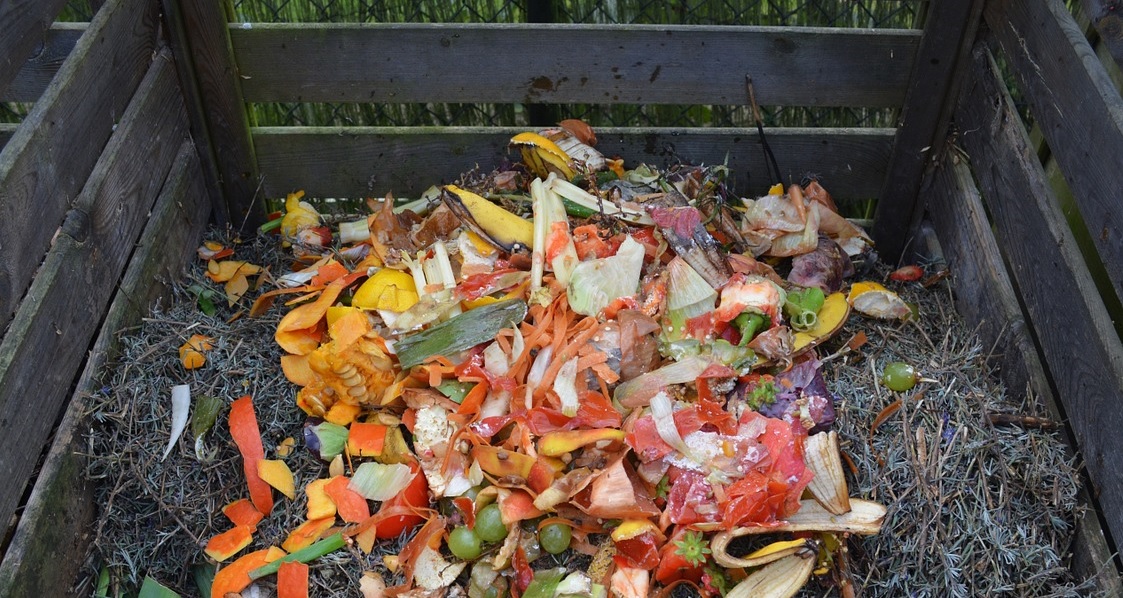 Abono natural a partir del vermicompostaje