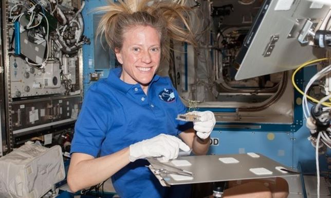 Las plantas sorprendentemente consiguen crecer en la Estación Espacial