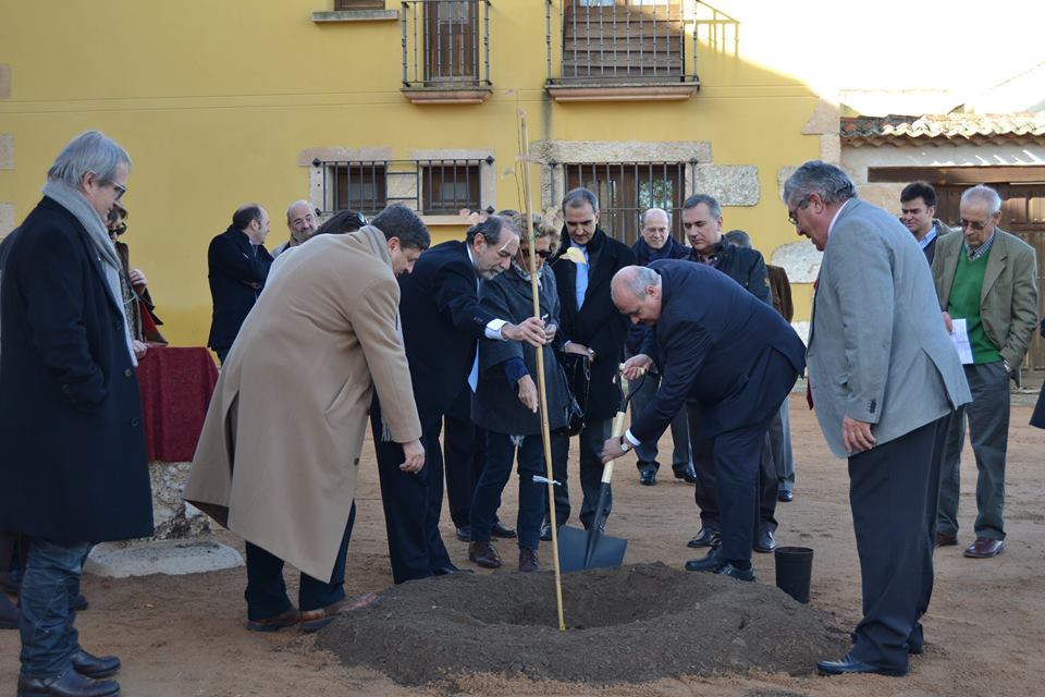 Medio Ambiente participa en la recuperación de olmos y olmedas en paseos