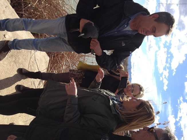 Quinta suelta de Fochas Morunas en la Reserva Natural del filtro verde del Tancat de Milia