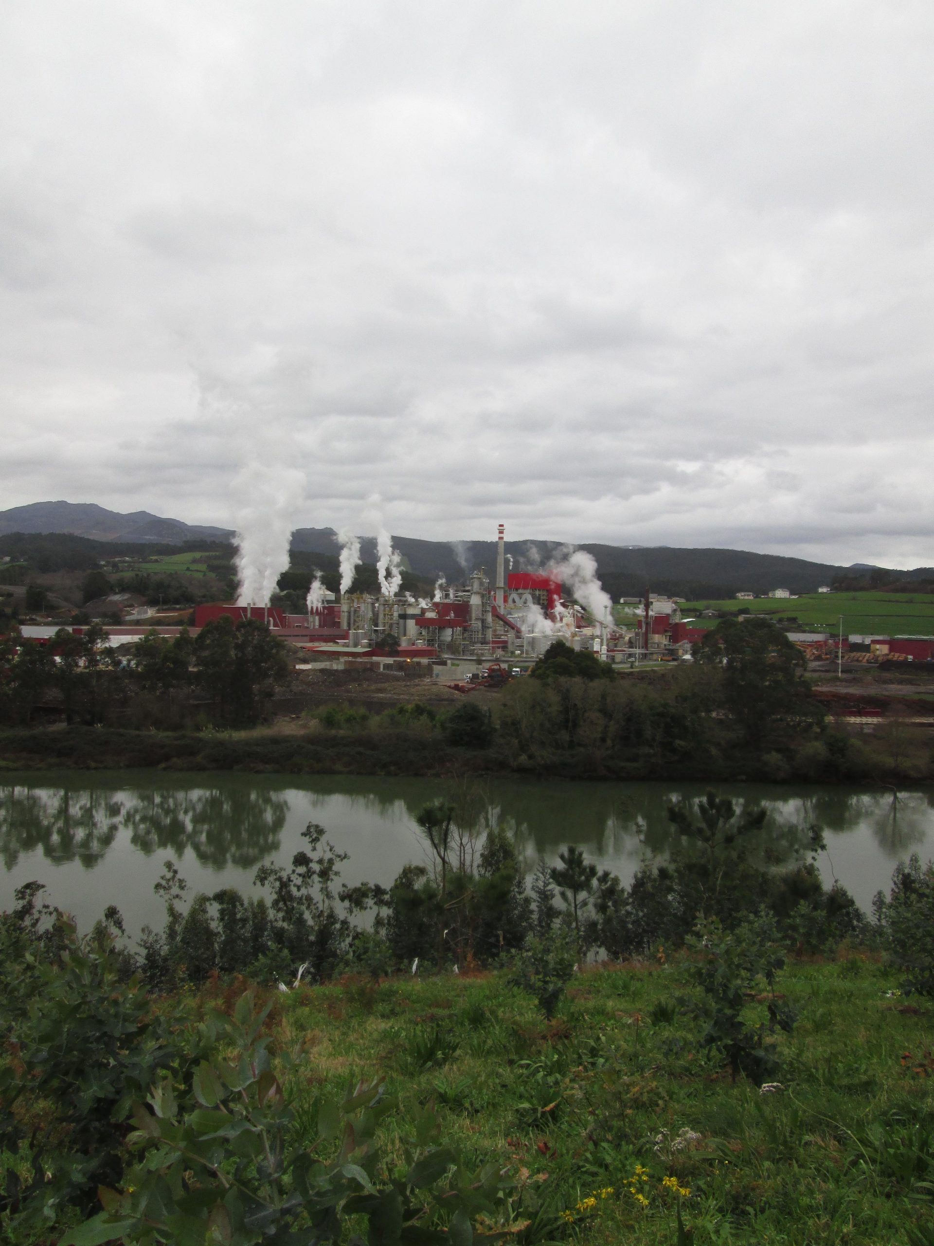 El Principado Asturias autoriza la planta de purines de Navia sin resolver sus problemas ambientales