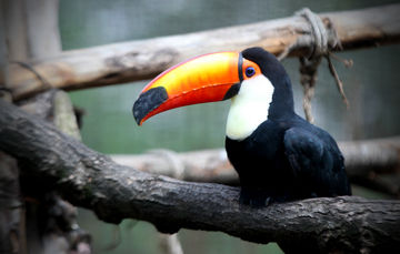 Conservar la naturaleza