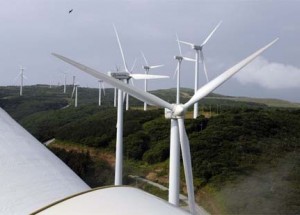 Amics de la Terra preocupados con la instalación de energía eólica de gran capacidad en suelo protegido balear