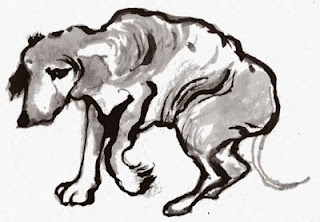 Denunciado por tener sin comida ni agua más de cien perros en una finca de Olius (Lleida)