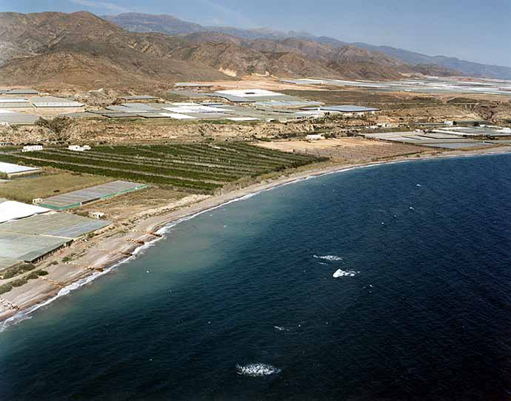 El Gobierno saca a licitación la recuperación ambiental de las playas de El Ejido y Adra (Almería) por casi 80.000 euros