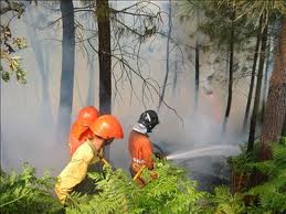 Imputado un hombre por el incendio de Doñana que fulminó 400 hectáreas