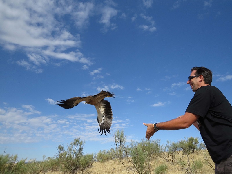 GREFA: casi 6.000 animales fueron atendidos en 2015