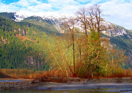 “No mires la vida como es