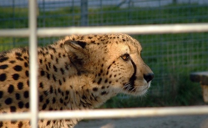 Zoo Aquarium de Madrid