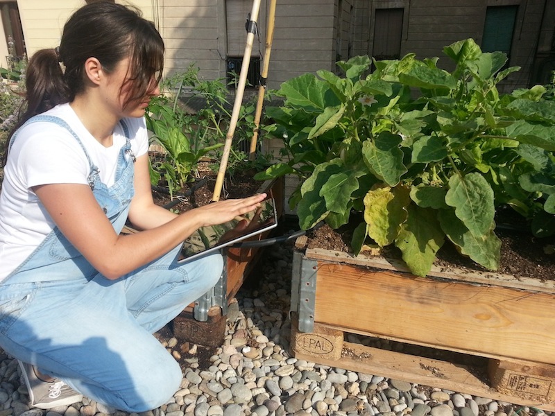 La innovación y las nuevas ideas de los eco-emprendedores