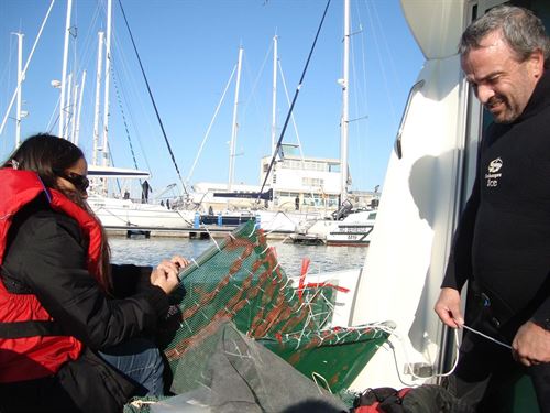 Los ecosistemas acuáticos con especies marinas ‘atiborrados’ de fármacos