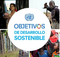 El acceso a la información sobre el desarrollo constituye la principal vía para contribuir al mismo