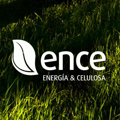 Ence compra a Endesa su participación en dos plantas de biomasa