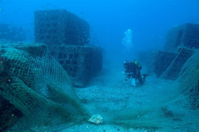Los arrecifes artificiales de Cabo de Gata son una fuente de biodiversidad