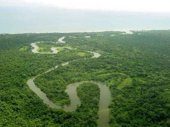 La Unesco evalúa el estado de la biosfera hondureña de Río Plátano
