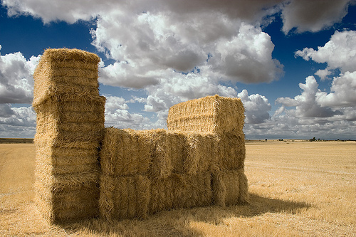 Uruguayos de barro y paja