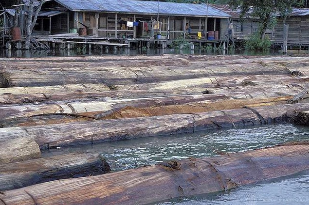 El nuevo código forestal aprobado en Brasil es devastador