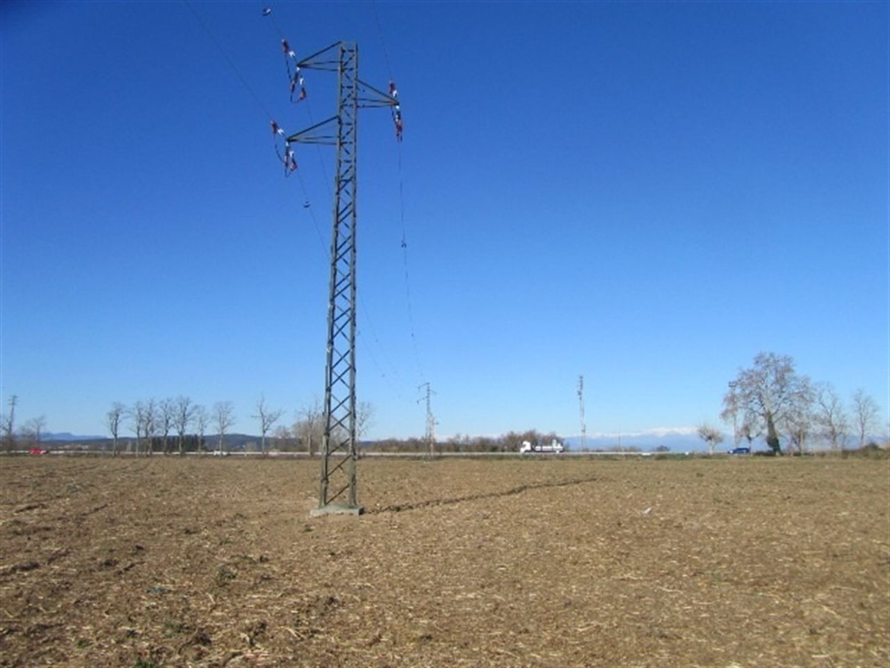 El Parque Natural del Montgrí mejora la protección de las aves en LEscala (Girona)