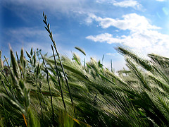 "Cuidemos el Aire. Respiremos Tranquilos"