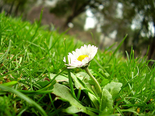 Medio Ambiente destina 4