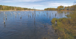 Fondo Verde respalda a Fundación Reservas y Medio Ambiente