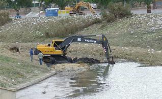 ANSE y Ecologistas en Acción desmienten que se hayan consensuado las medidas ambientales para el dragado del río Segura con la CHS