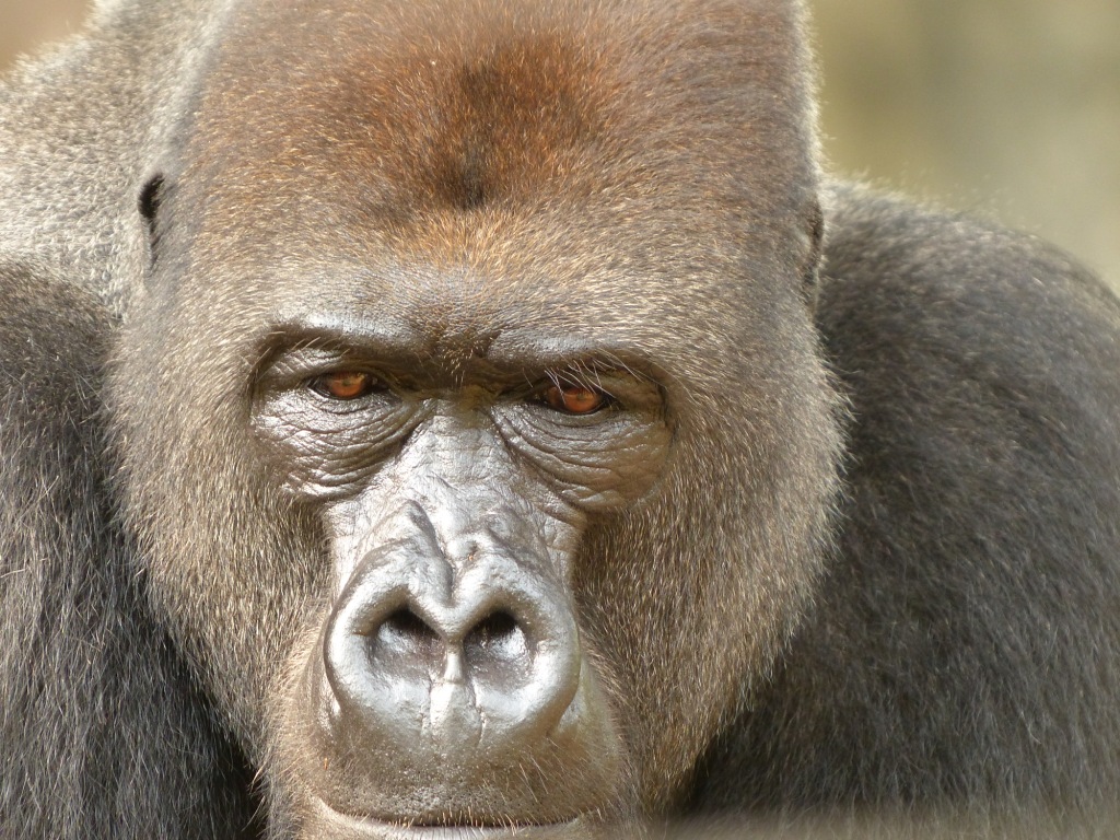 Entrevista a Pedro Pozas Terrados