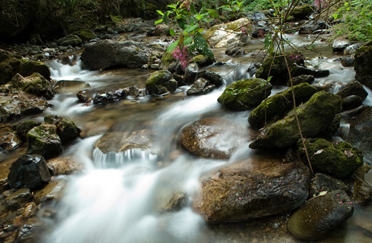 Te descubrimos el Parque Nacional Benito Juárez