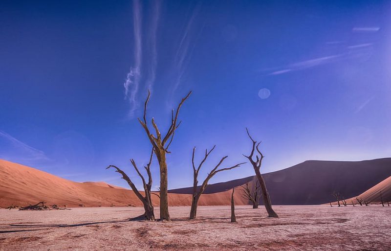 Cambio climático: aumenta la tendencia a la sequía