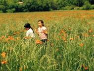 El medio ambiente: tres décadas de cambios que reclaman nuestra acción