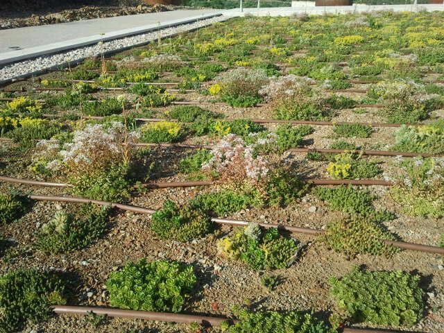 Barcelona podría mejorar sus niveles de contaminación de aire gracias al proyecto de ajardinar las terrazas de edificios