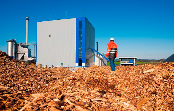 Europa autoriza a Reino Unido a subvencionar a una planta de cogeneración de biomasa