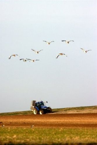 SEO/BirdLife promueve una iniciativa turística sostenible en un espacio de la Red Natura 2000 en Cáceres