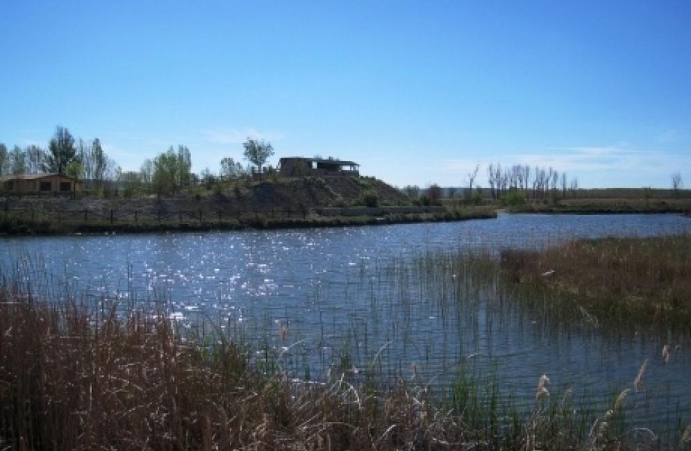 Premios Medio Ambiente de Aragón 2012