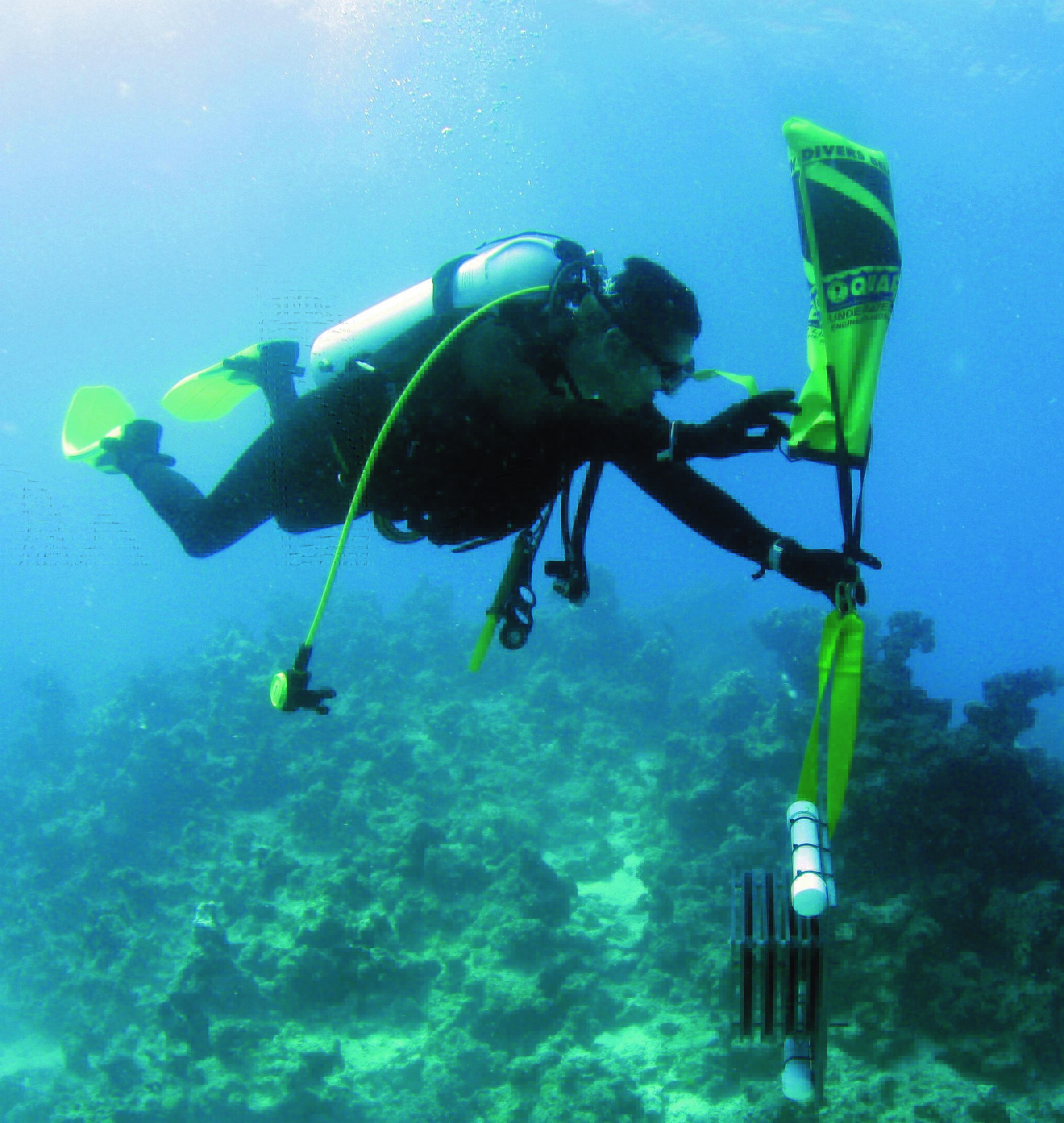 Expertos de 16 países ponen en común su conocimiento sobre biodiversidad y estado ambiental de los mares comunitarios