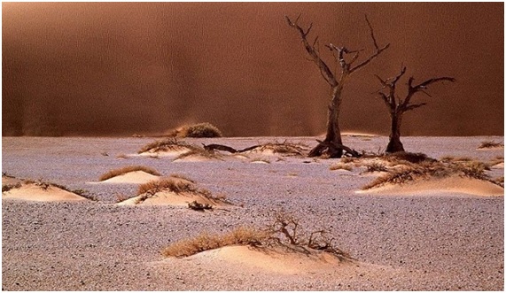 Europa se seca: será un desierto para 2100