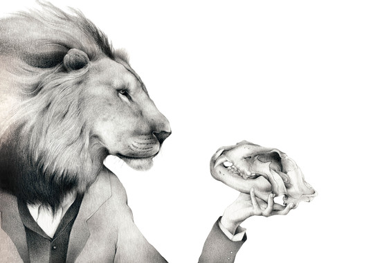 Ilustraciones de ‘naturaleza’ brillantes